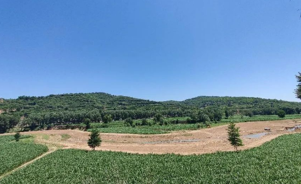 开云集团官网开云集团官网首页-开云(中国)
上半年项目建设进展顺利(图12)
